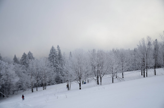 雪山