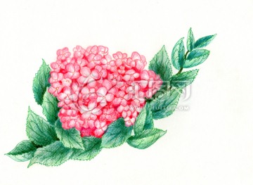 小花