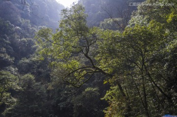 青城后山