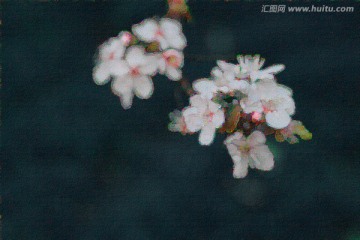油畫櫻花（未分層）