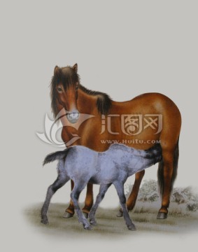 寶馬