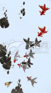 水墨金魚(yú)