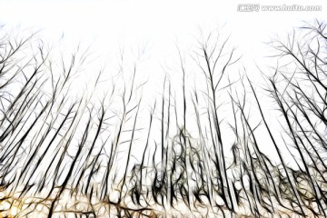 森林 未分層