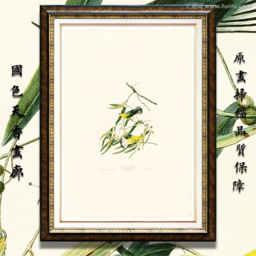 手绘鸟类花卉油画