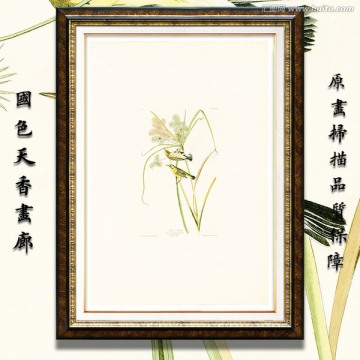 高清歐美鳥類油畫