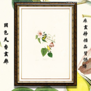 美克美家花鳥油畫 高清品質(zhì)