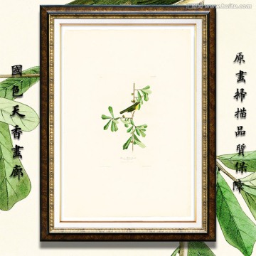 美克美家花鳥油畫 高清品質(zhì)