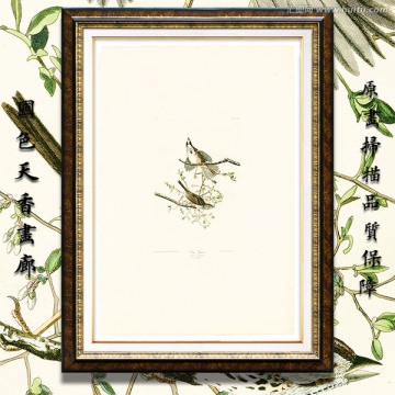 美克美家花鳥油畫 高清品質(zhì)