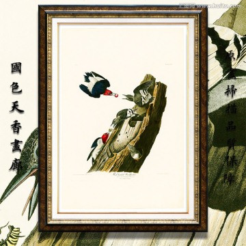 美克美家花鳥油畫 高清品質(zhì)