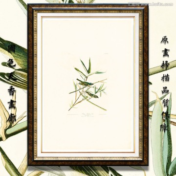 美克美家花鳥油畫 高清品質(zhì)