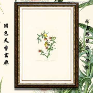美克美家花鳥油畫 高清品質(zhì)