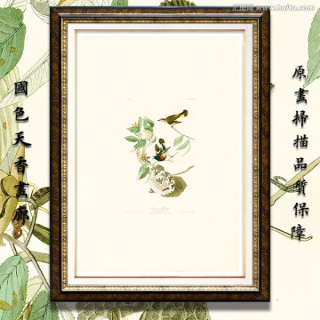 美克美家花鳥油畫 高清品質(zhì)