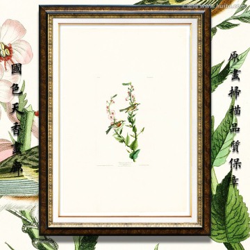 小鳥溫馨油畫 高清品質(zhì)