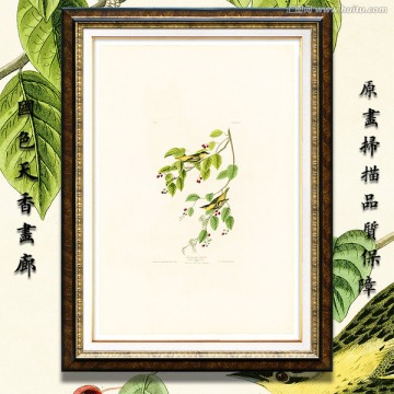 小鳥溫馨油畫 高清品質(zhì)