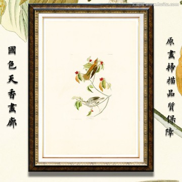 鳥(niǎo)類花卉蝴蝶 高清油畫(huà)