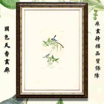 鳥類花卉蝴蝶 高清油畫