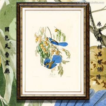 鳥類花卉蝴蝶 高清油畫
