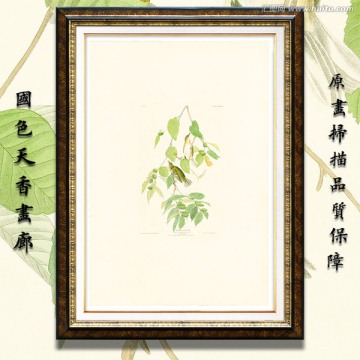 鳥(niǎo)類花卉蝴蝶 高清油畫(huà)