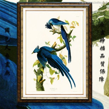 花鳥水彩畫 高清