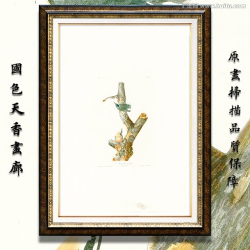 花鳥水彩畫 高清