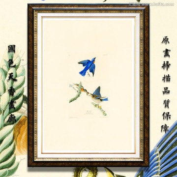 花鳥水彩畫 高清
