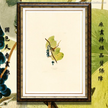 花鳥水彩畫 高清