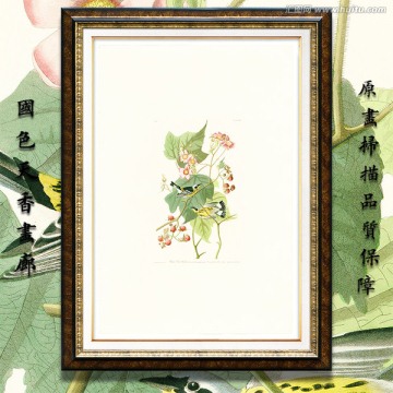 小鳥鳥巢鳥類花卉油畫 高清