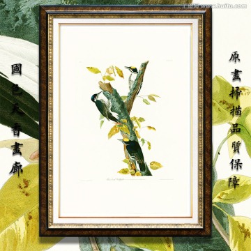 鳥類花卉油畫 高清