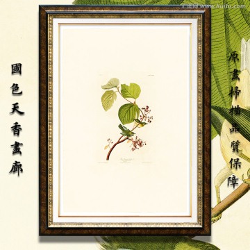 鳥類花卉油畫 高清