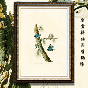 鳥類花卉油畫 高清