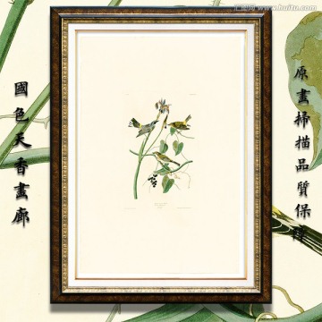 鳥類花卉油畫 高清
