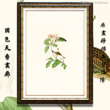 鸟类花卉油画 画廊高清品质