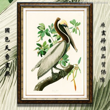 鹈鹕油画 画廊高清品质