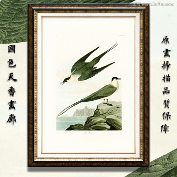 海燕手绘 画廊高清品质