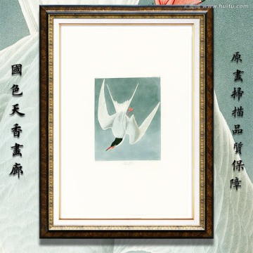 军舰鸟油画 画廊高清品质