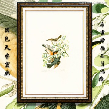 花鳥油畫 高清大圖