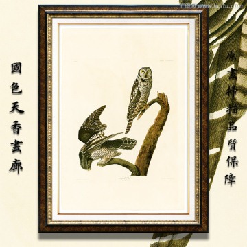 花鳥油畫 高清大圖