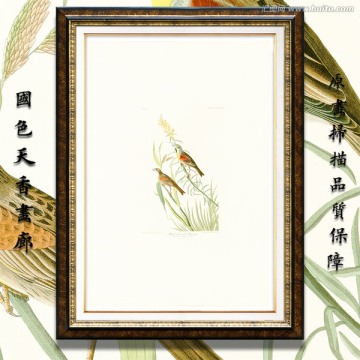 花鸟油画 高清大图