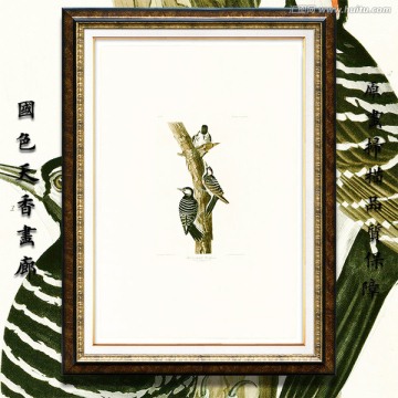 花鳥油畫 高清大圖