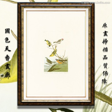 花鳥油畫 高清大圖