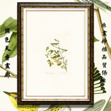 花鳥油畫 高清大圖