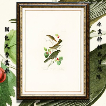 花鳥(niǎo) 畫(huà)廊品質(zhì)