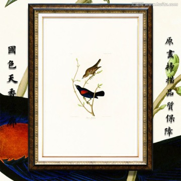 花鳥 畫廊品質(zhì)