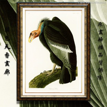 花鳥 畫廊品質(zhì)