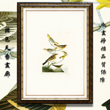 花鳥(niǎo) 畫(huà)廊品質(zhì)