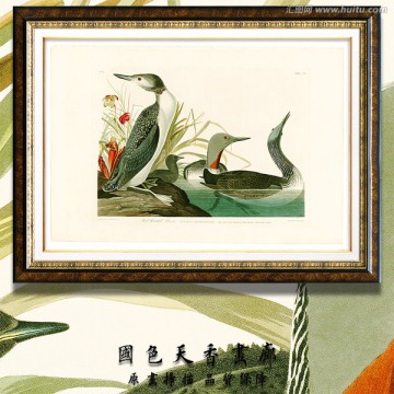 唯美鳥類油畫 高清品質