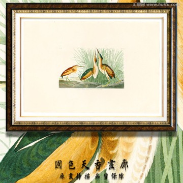 唯美鳥類油畫 高清品質(zhì)