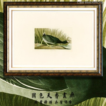 鳥類裝飾畫 畫廊品質(zhì)