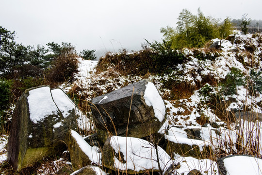 头场雪