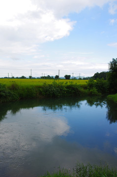 田园风景 田园风光